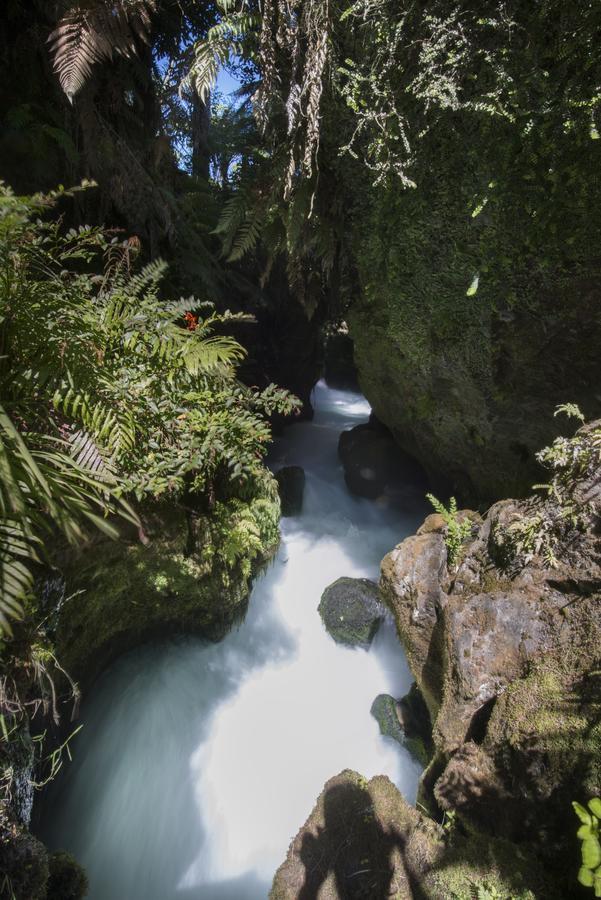 Okoroire Hot Springs Hotel Luaran gambar